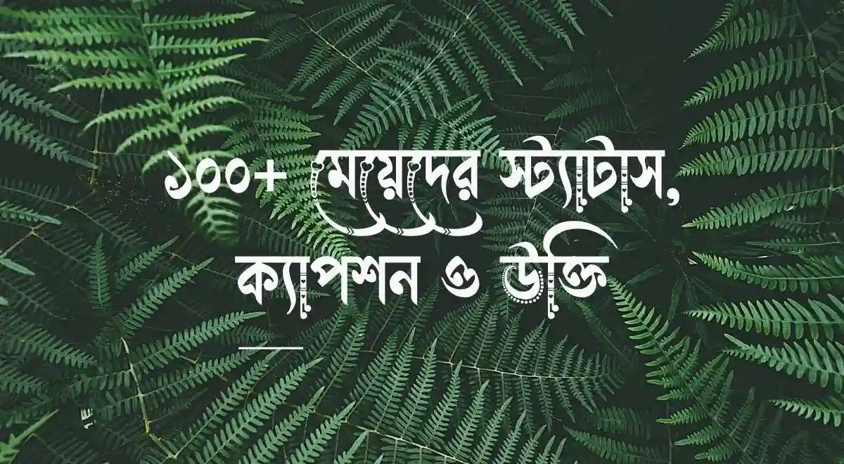১০০+ মেয়েদের স্ট্যাটাস, ক্যাপশন ও উক্তি