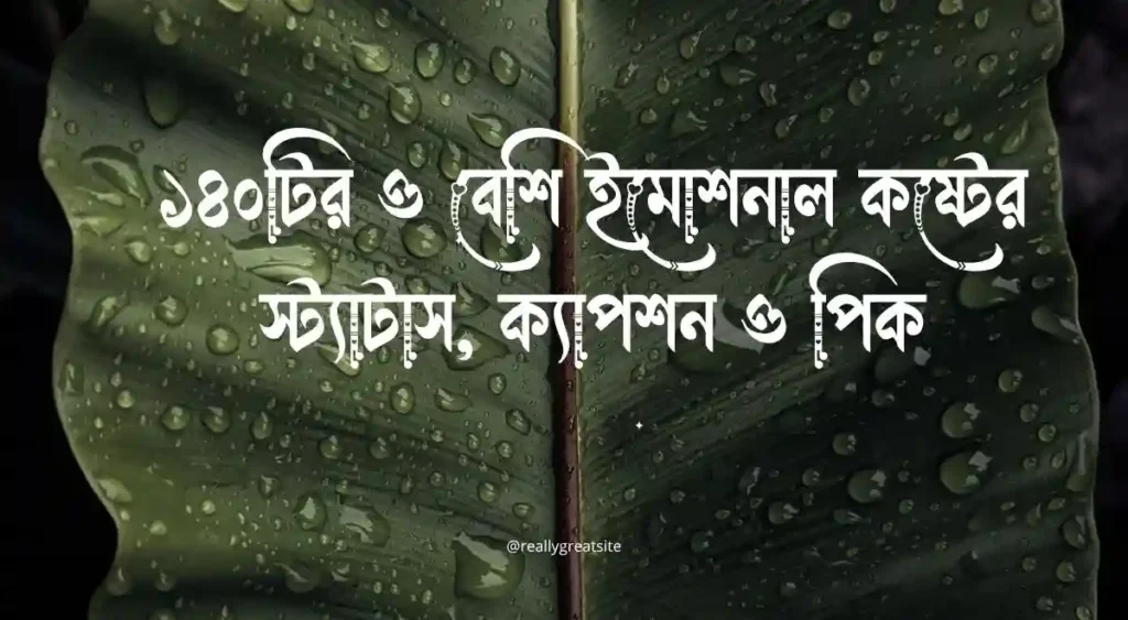 ১৪০টির ও বেশি ইমোশনাল কষ্টের স্ট্যাটাস, ক্যাপশন ও পিক