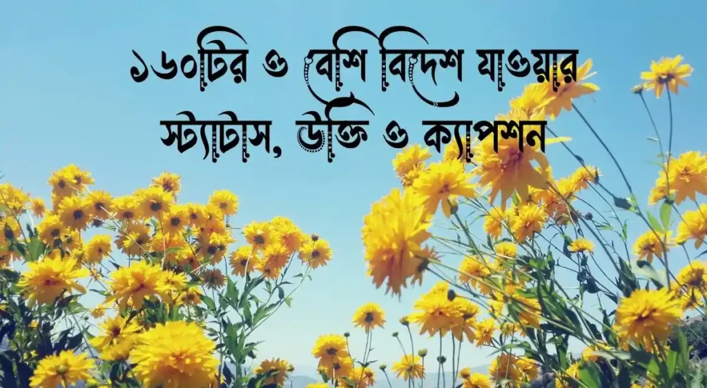 ১৬০টির ও বেশি বিদেশ যাওয়ার স্ট্যাটাস, উক্তি ও ক্যাপশন