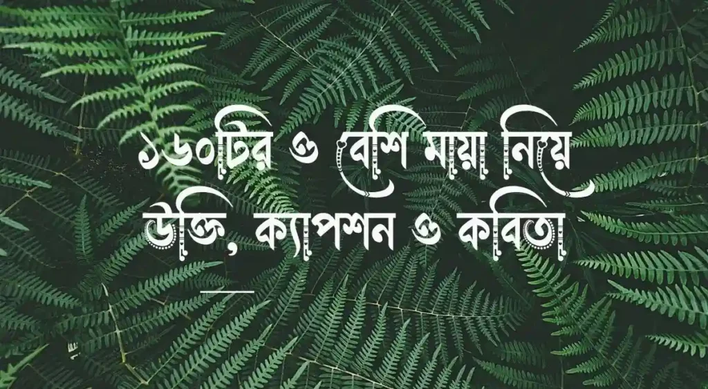১৬০টির ও বেশি মায়া নিয়ে উক্তি, ক্যাপশন ও কবিতা