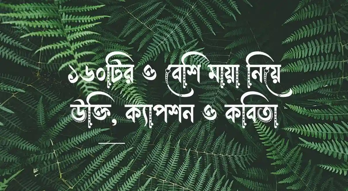১৬০টির ও বেশি মায়া নিয়ে উক্তি, ক্যাপশন ও কবিতা