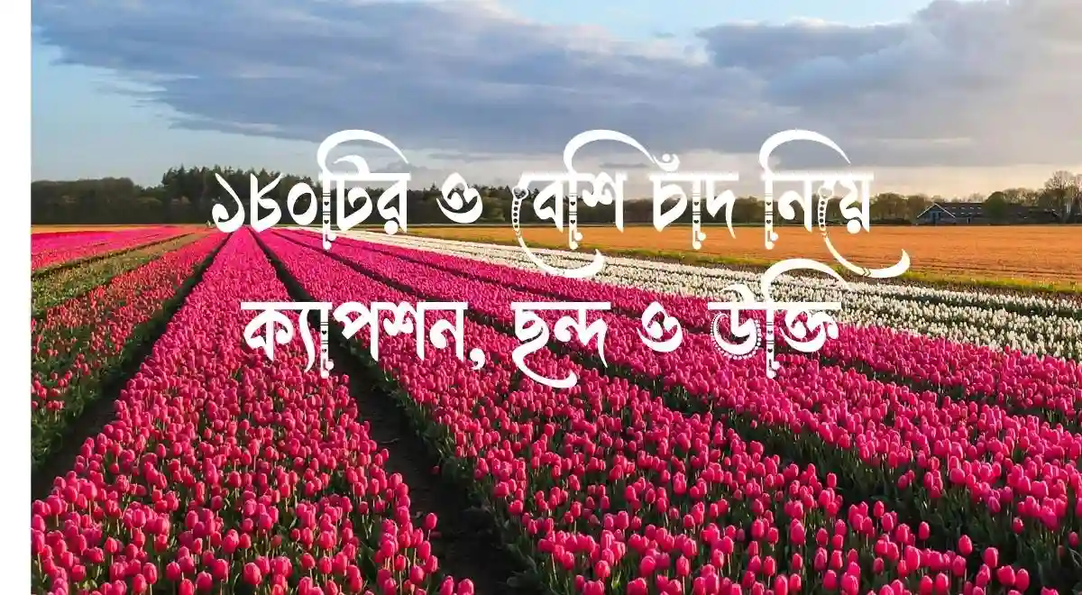 ১৮০টির ও বেশি চাঁদ নিয়ে ক্যাপশন, ছন্দ ও উক্তি