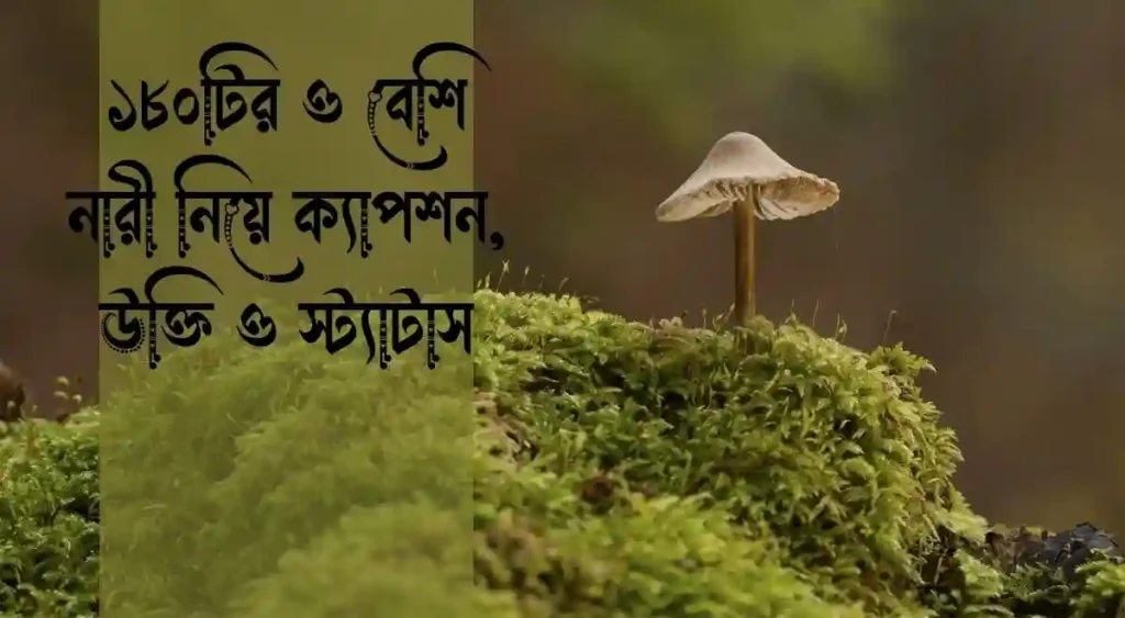 ১৮০টির ও বেশি নারী নিয়ে ক্যাপশন, উক্তি ও স্ট্যাটাস