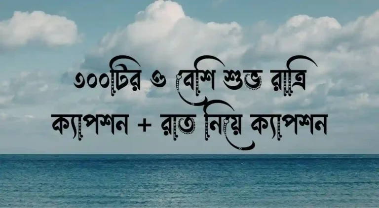 ৩০০টির ও বেশি শুভ রাত্রি ক্যাপশন + রাত নিয়ে ক্যাপশন