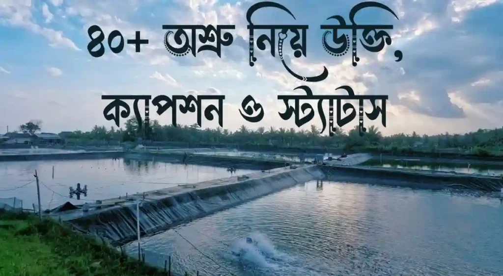 ৪০+ অশ্রু নিয়ে উক্তি, ক্যাপশন ও স্ট্যাটাস