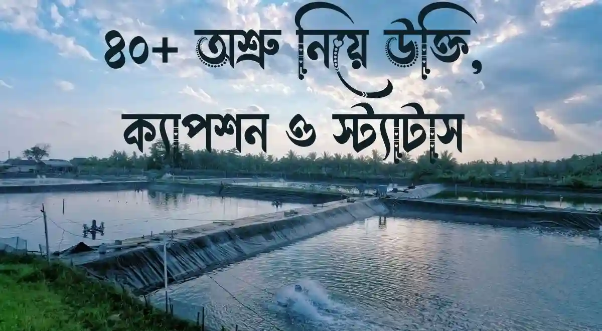 ৪০+ অশ্রু নিয়ে উক্তি, ক্যাপশন ও স্ট্যাটাস