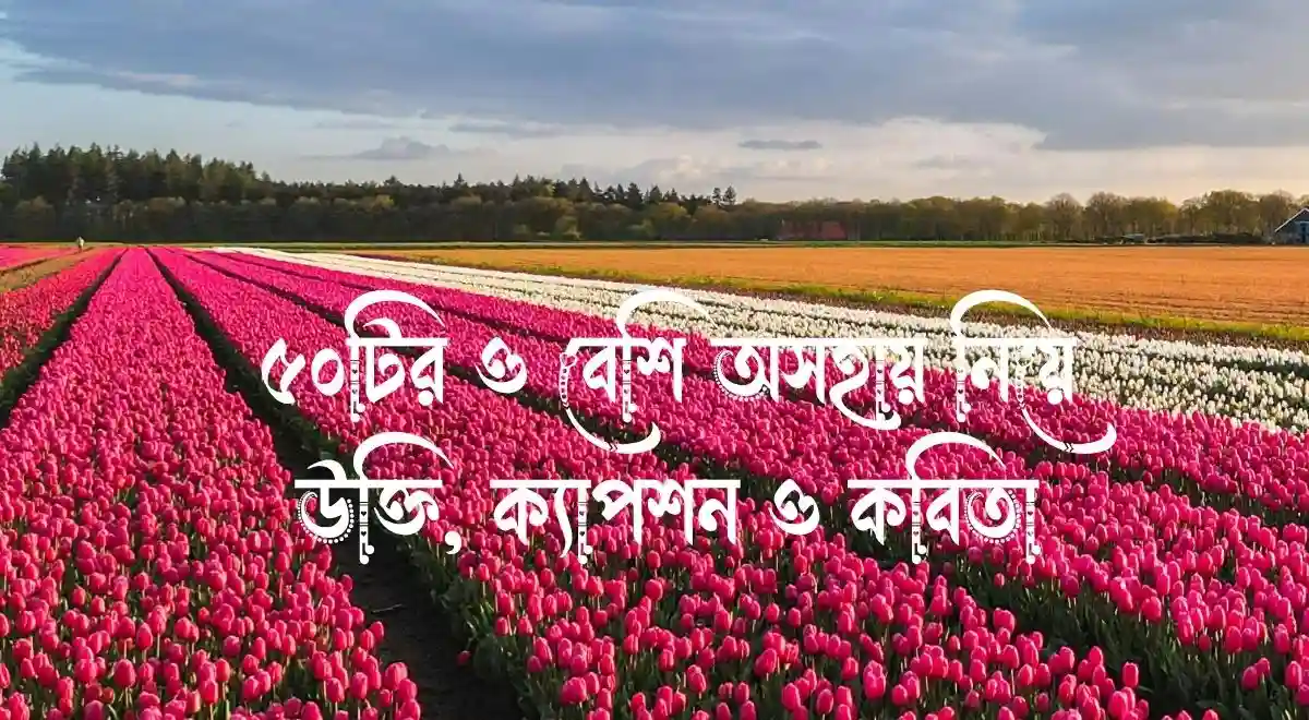 ৫০টির ও বেশি অসহায় নিয়ে উক্তি, ক্যাপশন ও কবিতা