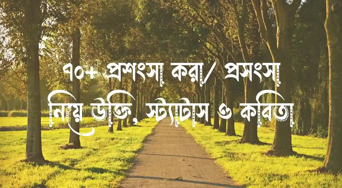 ৭০+ প্রশংসা করা প্রসংসা নিয়ে উক্তি, স্ট্যাটাস ও কবিতা