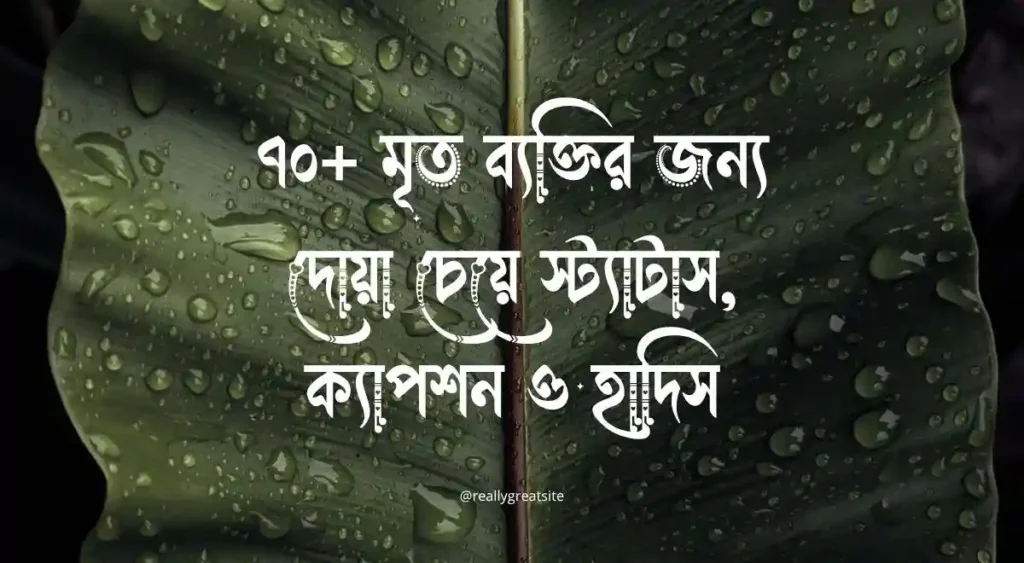 ৭০+ মৃত ব্যক্তির জন্য দোয়া চেয়ে স্ট্যাটাস, ক্যাপশন ও হাদিস