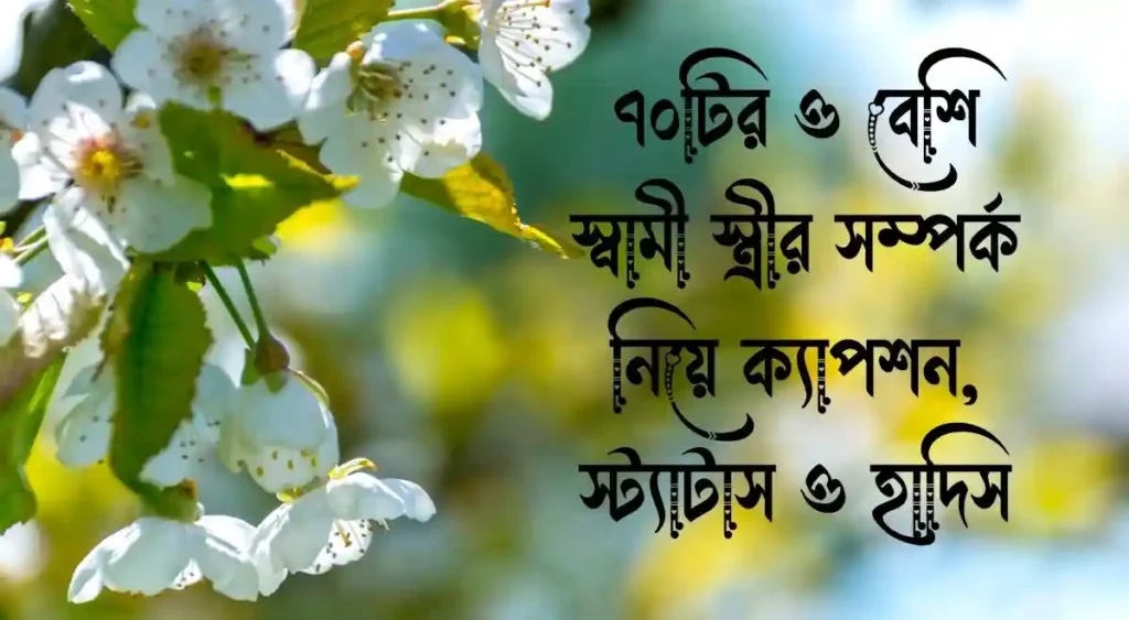 ৭০টির ও বেশি স্বামী স্ত্রীর সম্পর্ক নিয়ে ক্যাপশন, স্ট্যাটাস ও হাদিস