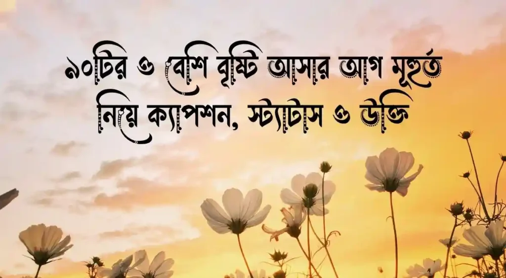 ৯০টির ও বেশি বৃষ্টি আসার আগ মূহুর্ত নিয়ে ক্যাপশন, স্ট্যাটাস ও উক্তি