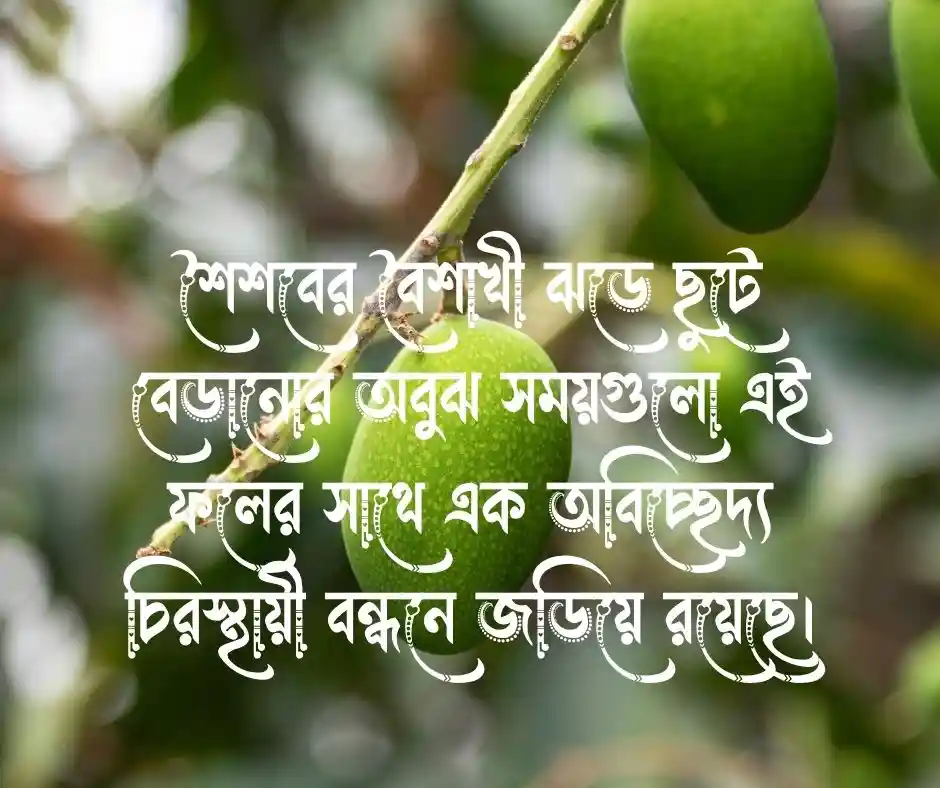 আম নিয়ে কিছু কথা