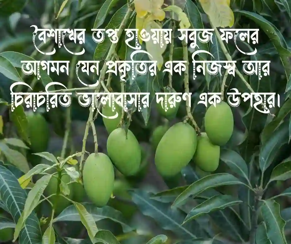 কাঁচা আম নিয়ে ক্যাপশন
