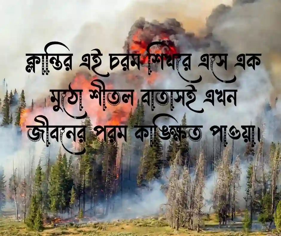 গরম নিয়ে কিছু কথা