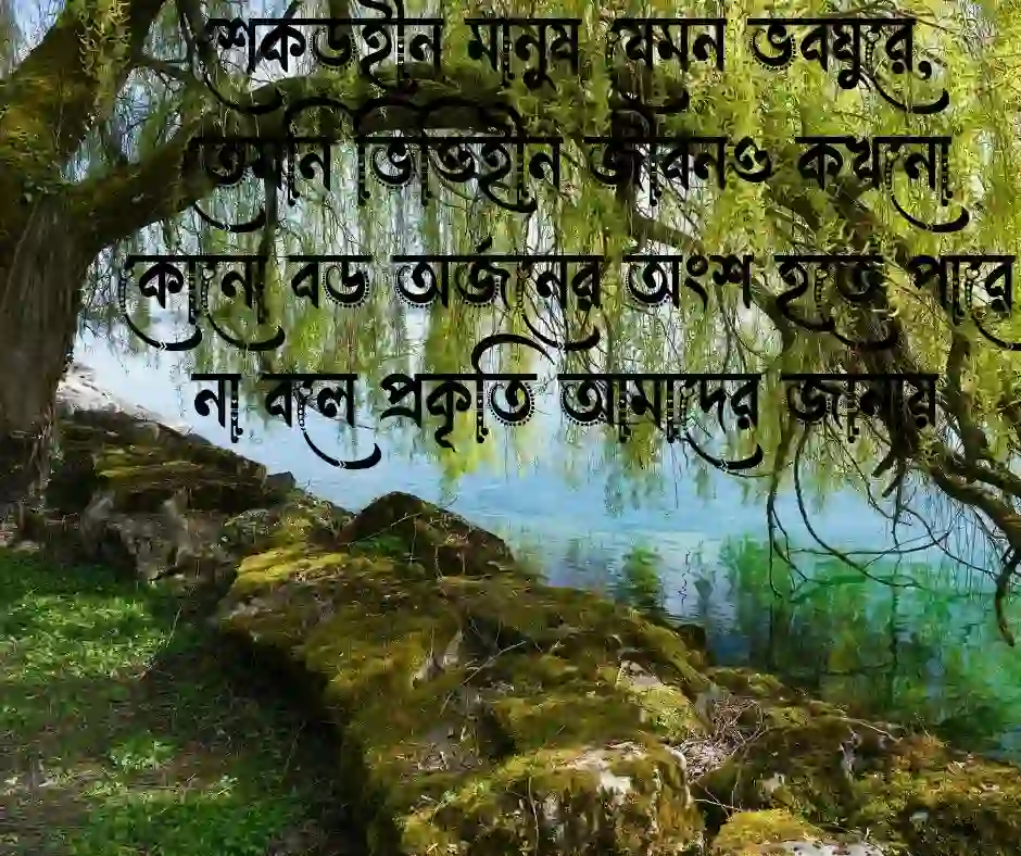 গাছ নিয়ে উক্তি