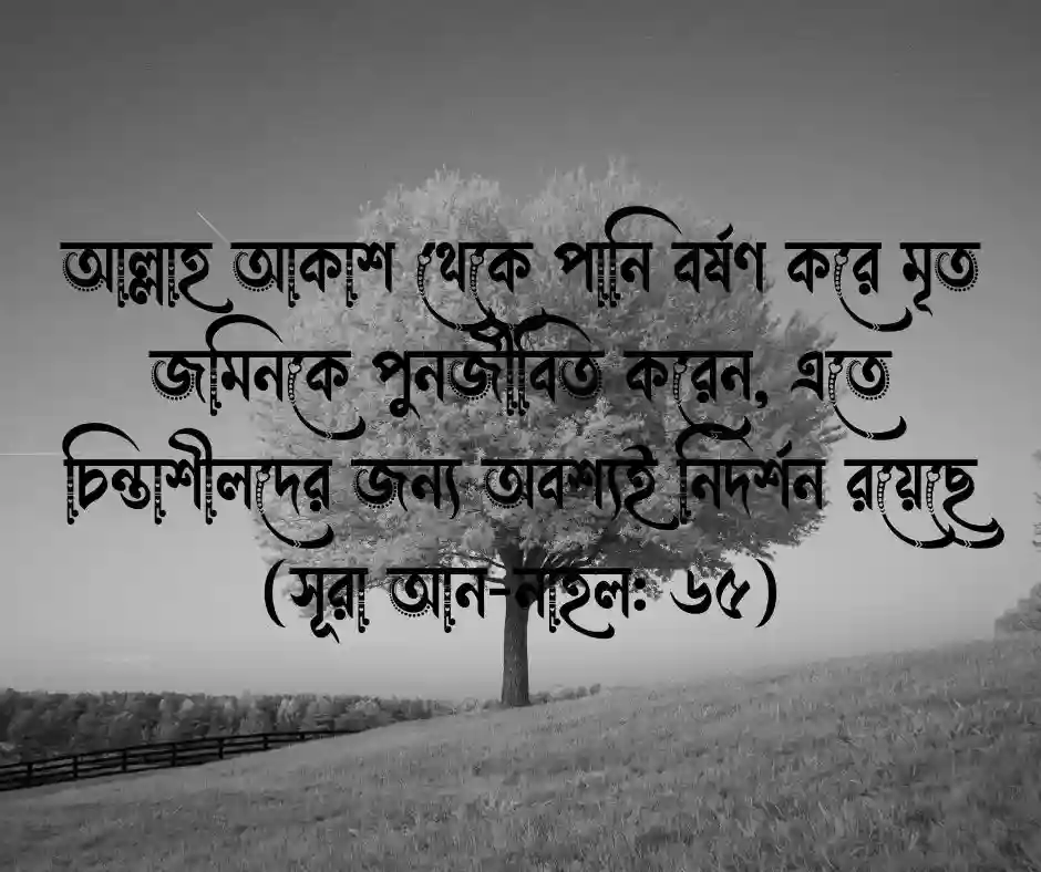 গাছ নিয়ে কোরআনের আয়াত
