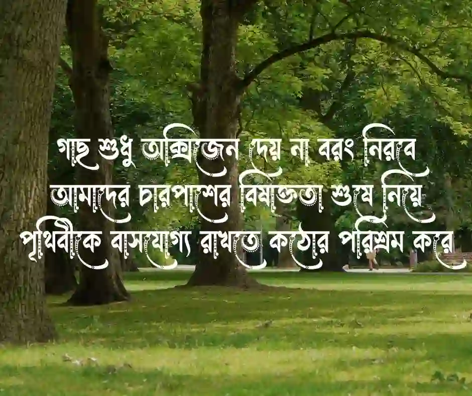 গাছ নিয়ে ক্যাপশন
