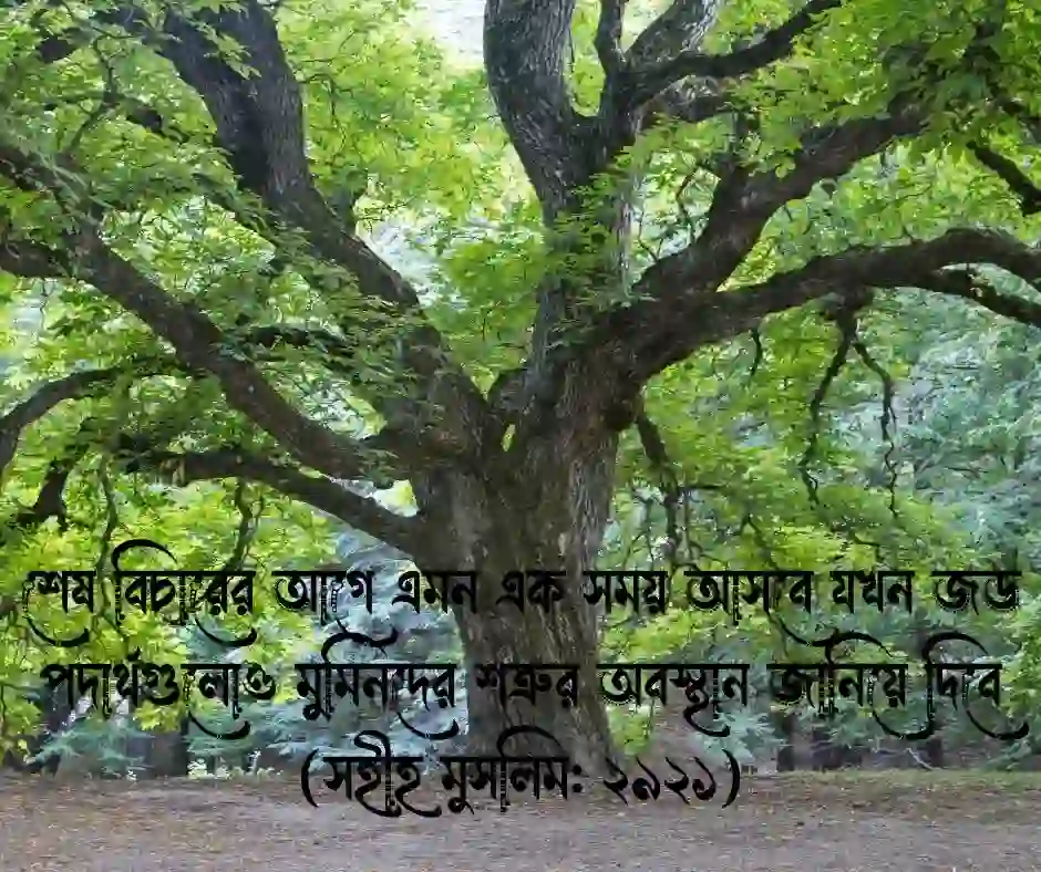 গারকাদ গাছ নিয়ে হাদিস