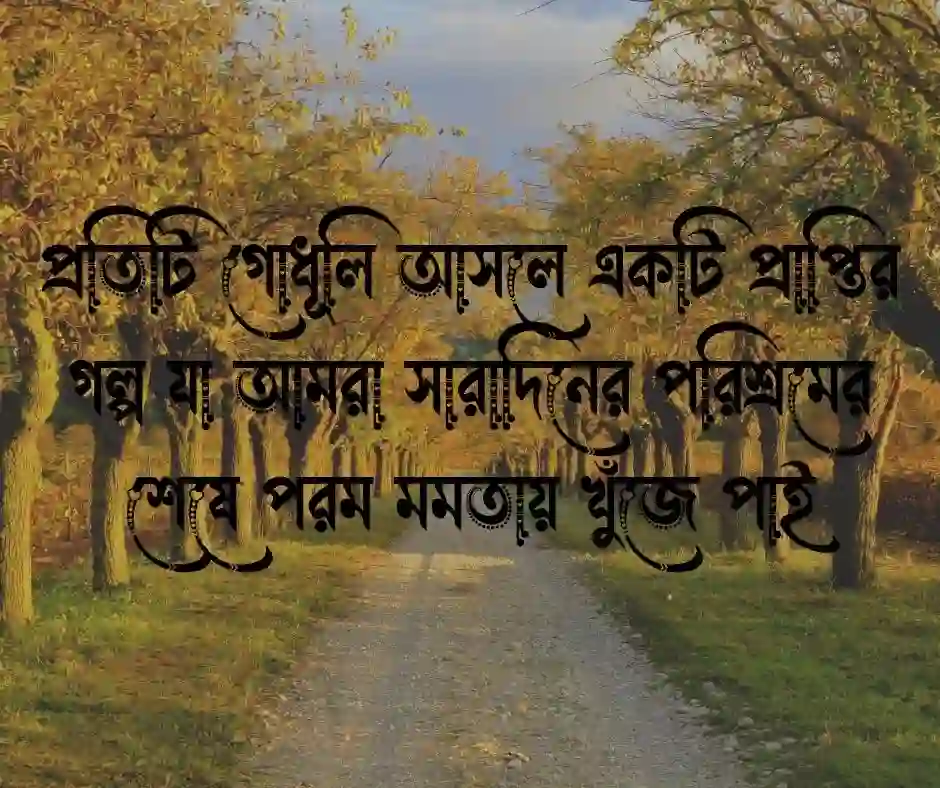 গোধূলি বিকেল নিয়ে ক্যাপশন