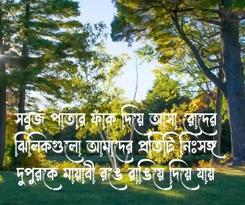 দুপুর নিয়ে স্ট্যাটাস