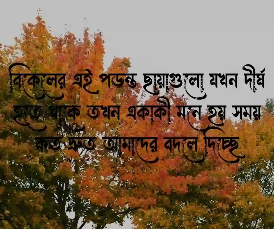 পড়ন্ত বিকেল নিয়ে ক্যাপশন