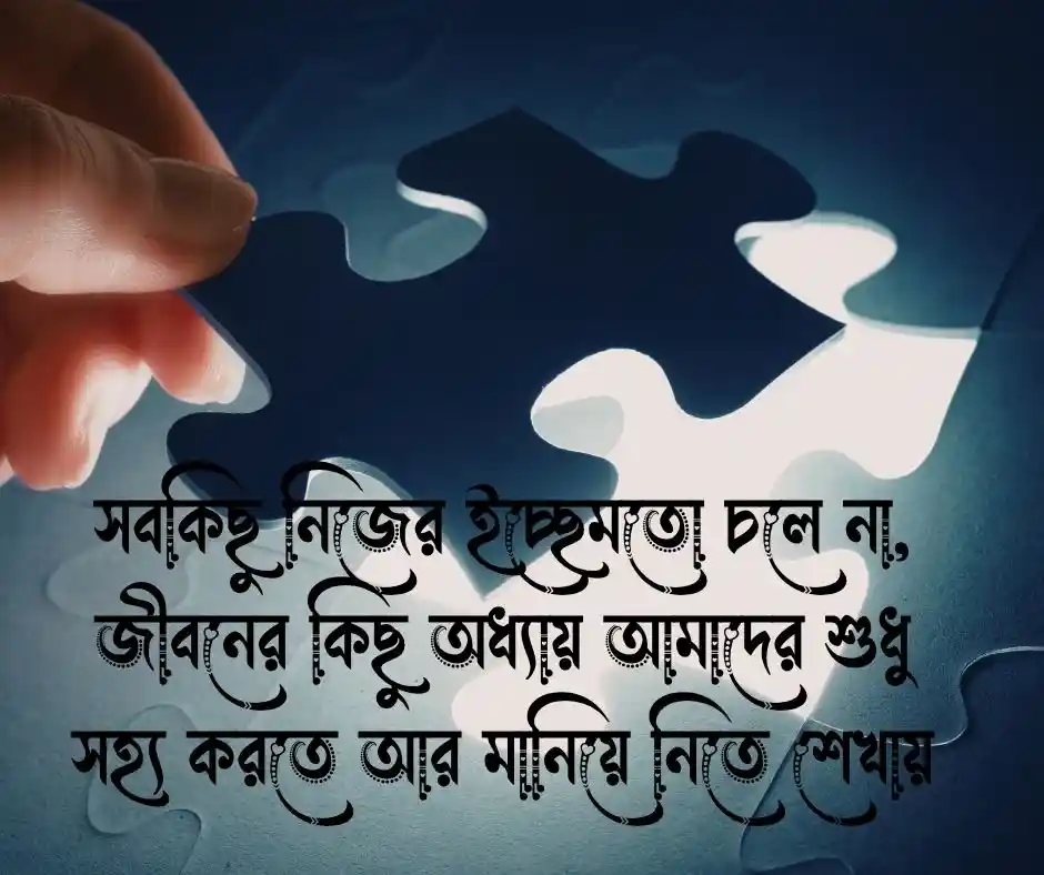 পরিস্থিতি নিয়ে উক্তি