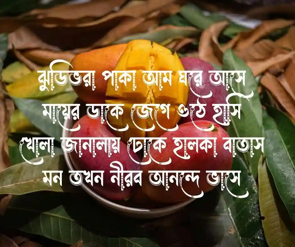 পাকা আম নিয়ে কবিতা