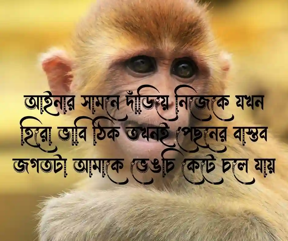 ফানি বাংলা ক্যাপশন