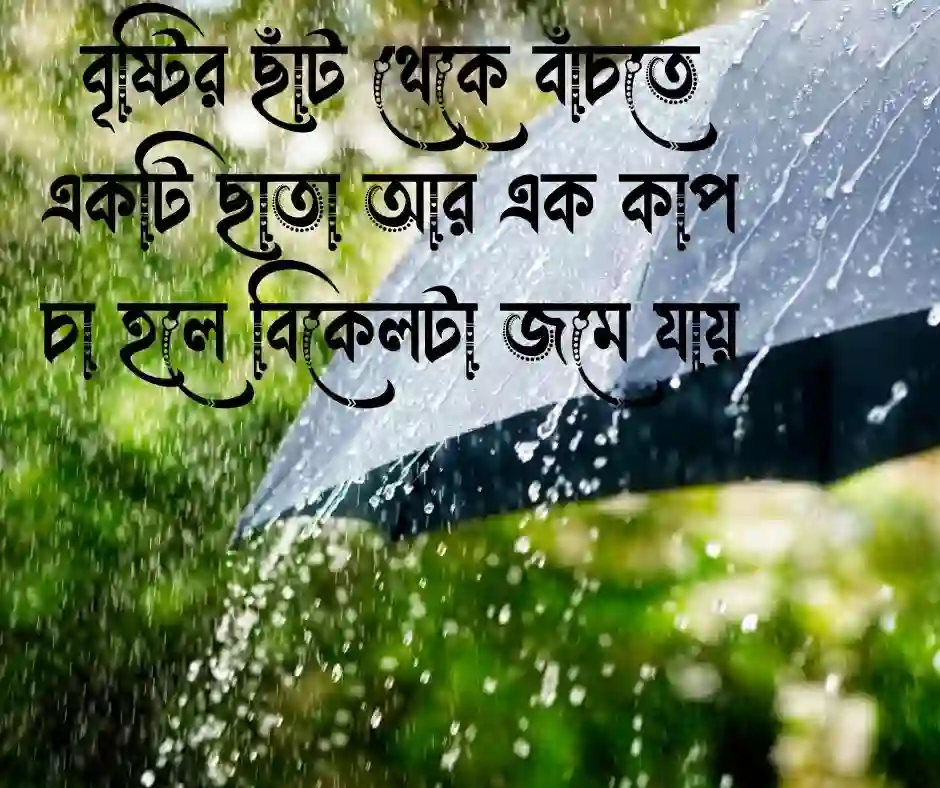 বৃষ্টির দিনে ছাতা নিয়ে ক্যাপশন