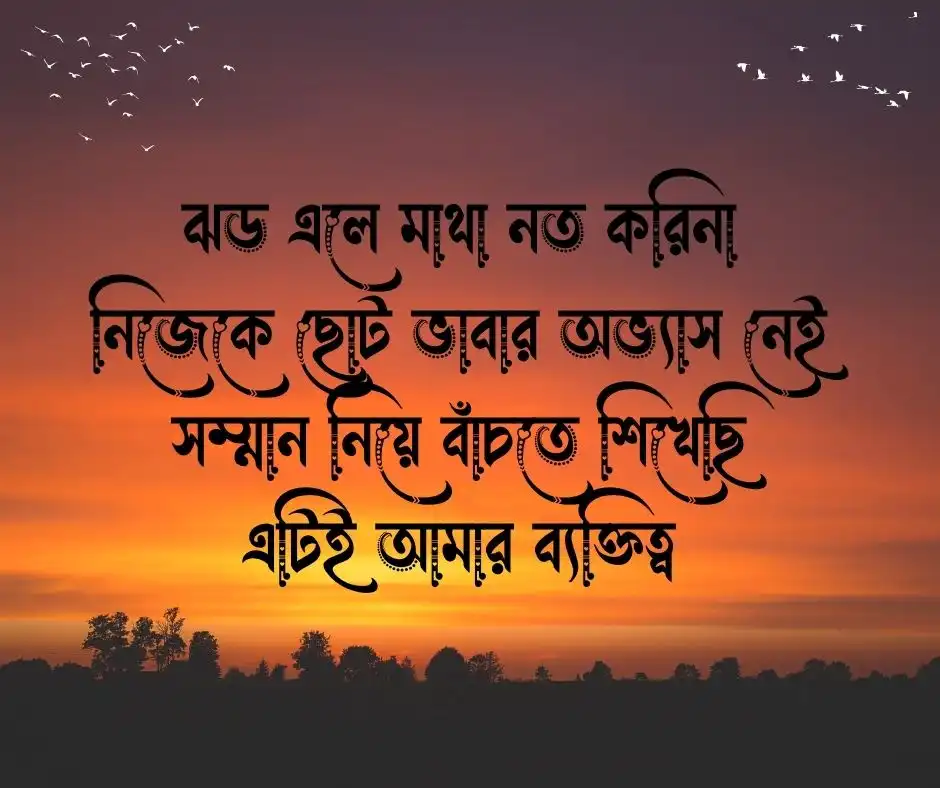 ব্যক্তিত্ব নিয়ে কবিতা