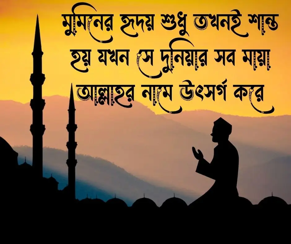 মায়া নিয়ে ইসলামিক উক্তি