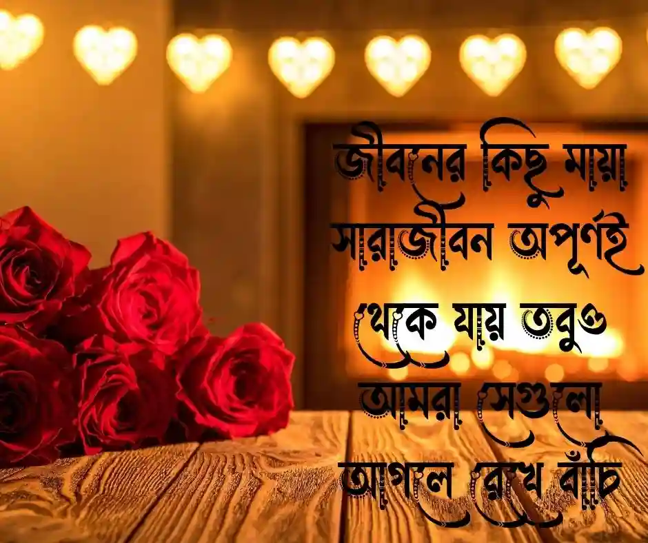 মায়া নিয়ে উক্তি
