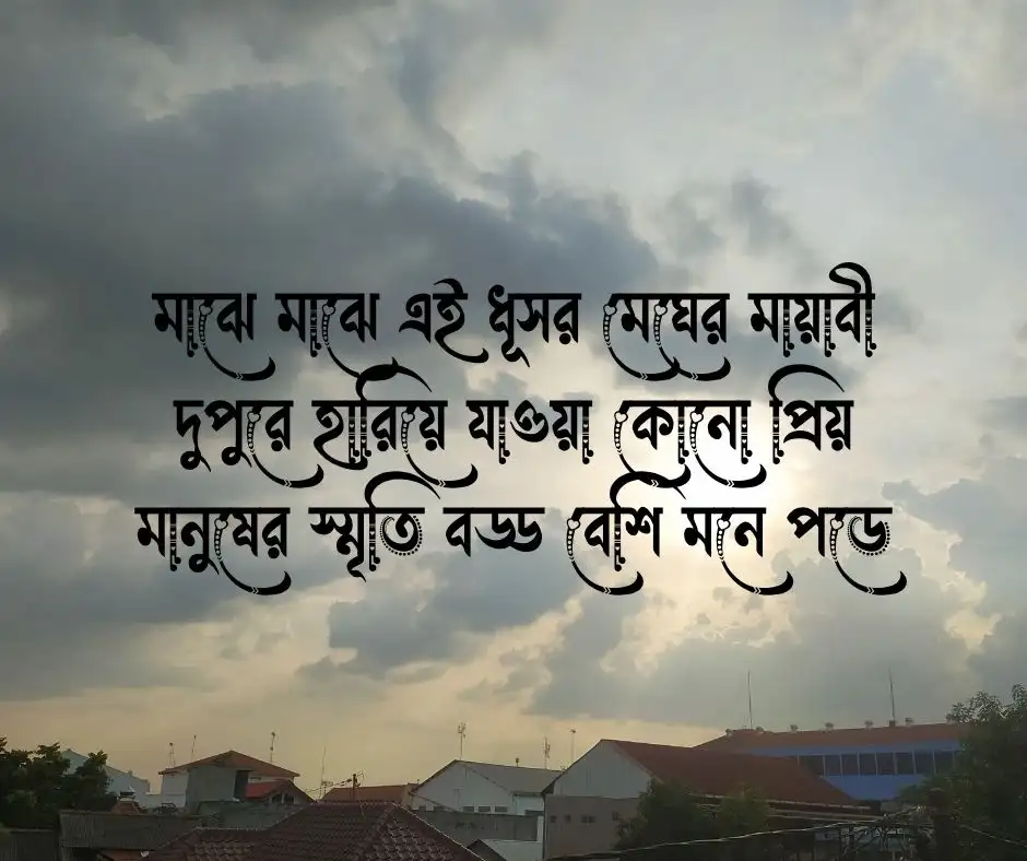 মেঘলা দুপুর নিয়ে ক্যাপশন