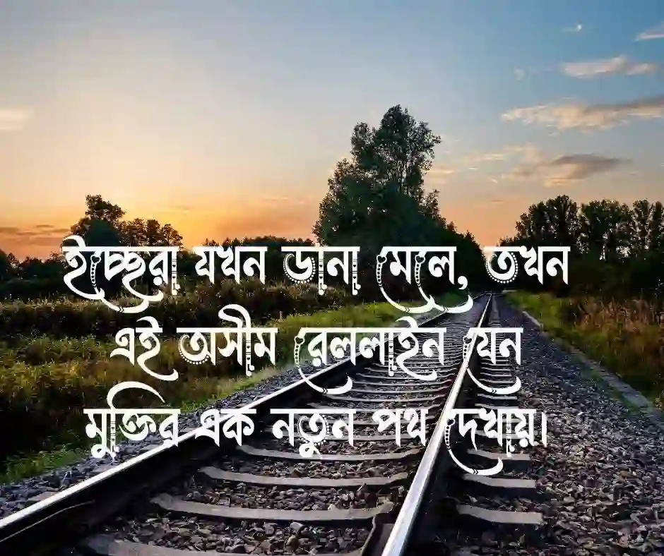 রেললাইন নিয়ে উক্তি