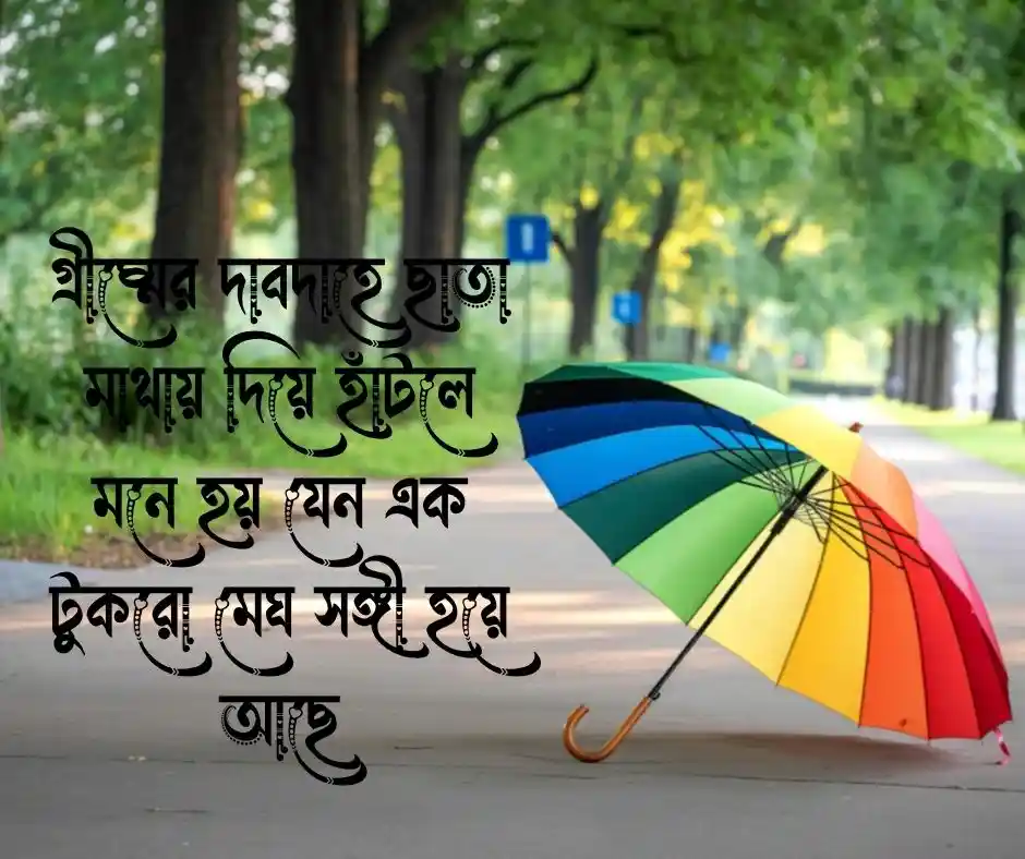 রোদে ছাতা নিয়ে ক্যাপশন