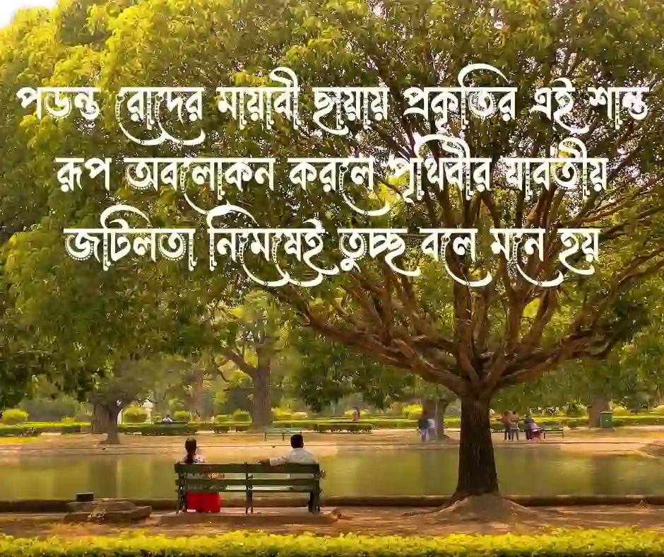 শুভ বিকেল নিয়ে উক্তি