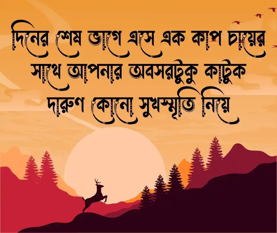 শুভ বিকেল শুভেচ্ছা শুভ বিকেলের শুভেচ্ছা