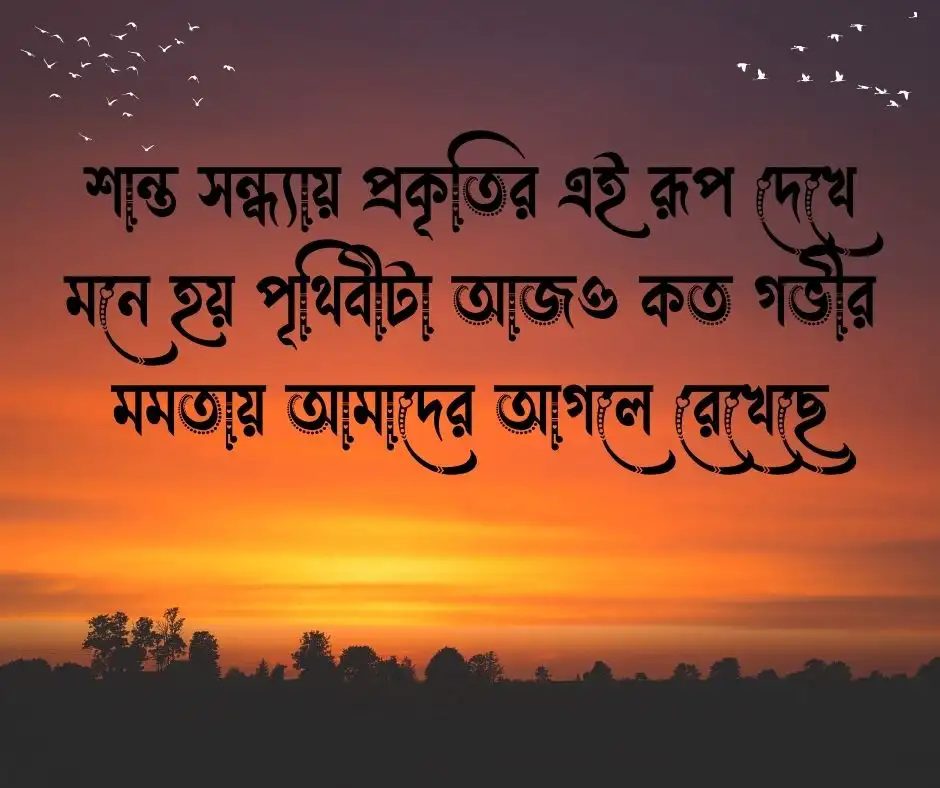 শুভ সন্ধ্যা নিয়ে উক্তি