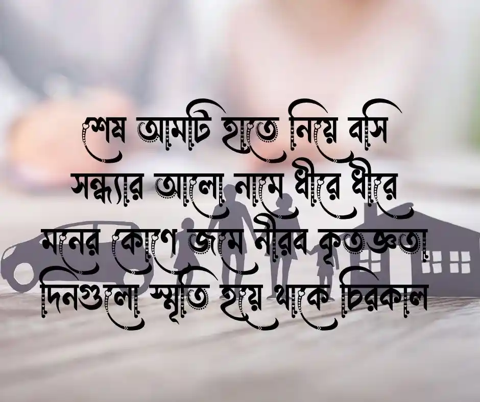 শ্বশুর বাড়ি নিয়ে উক্তি
