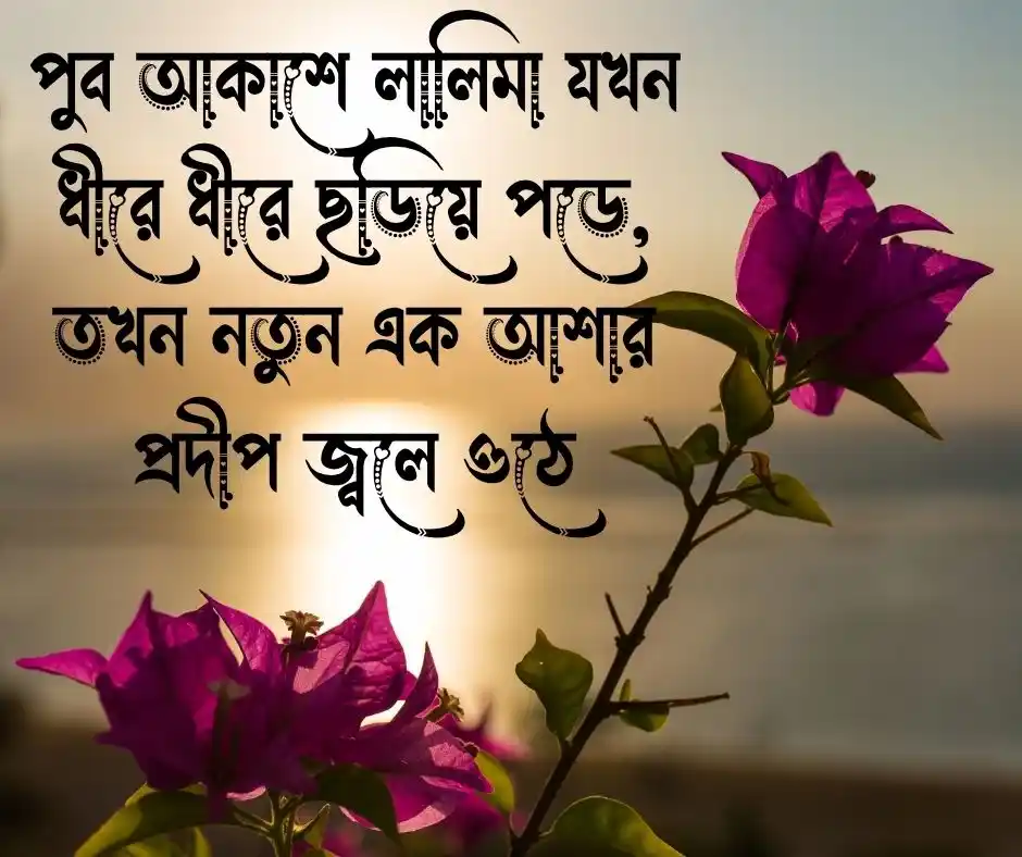 সকালের স্নিগ্ধতা নিয়ে ক্যাপশন