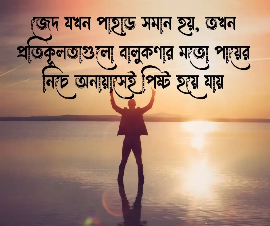 সফলতা নিয়ে ক্যাপশন