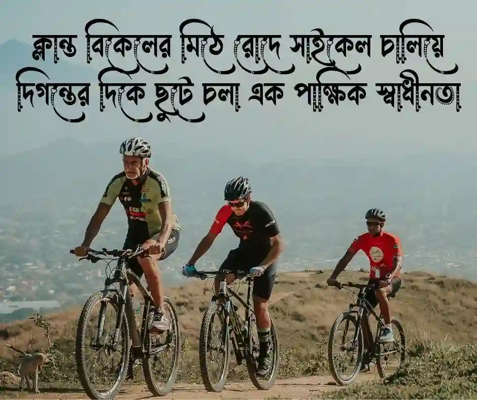 সাইকেল নিয়ে উক্তি
