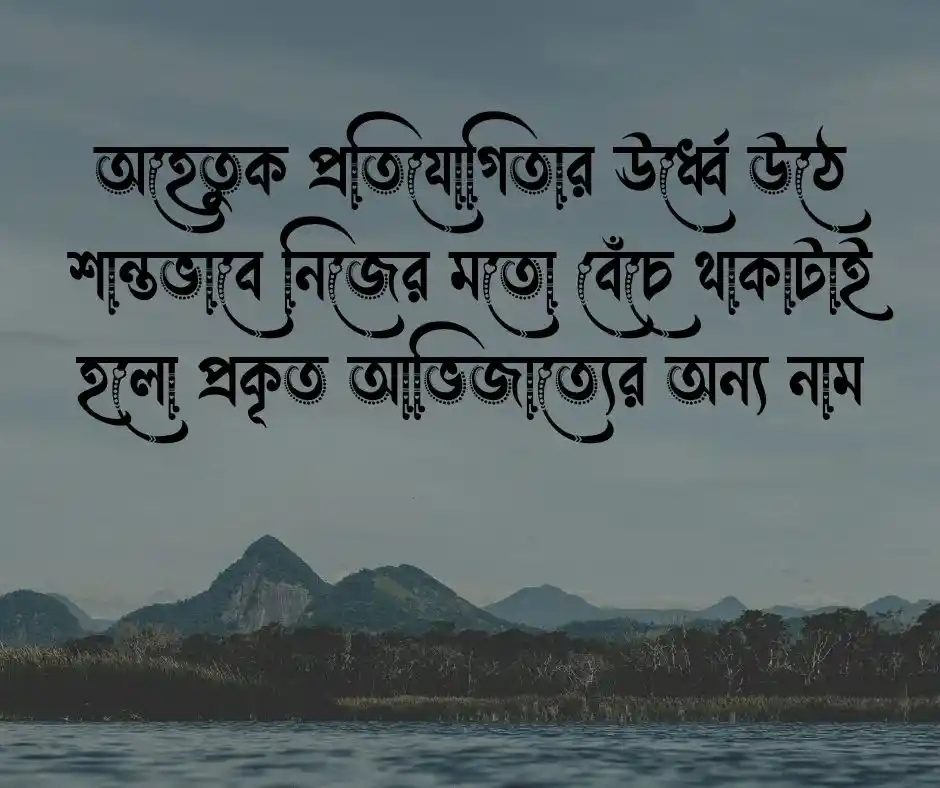 সাদামাটা জীবন নিয়ে উক্তি