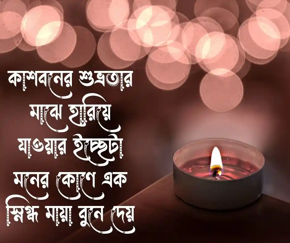 স্নিগ্ধতা নিয়ে উক্তি