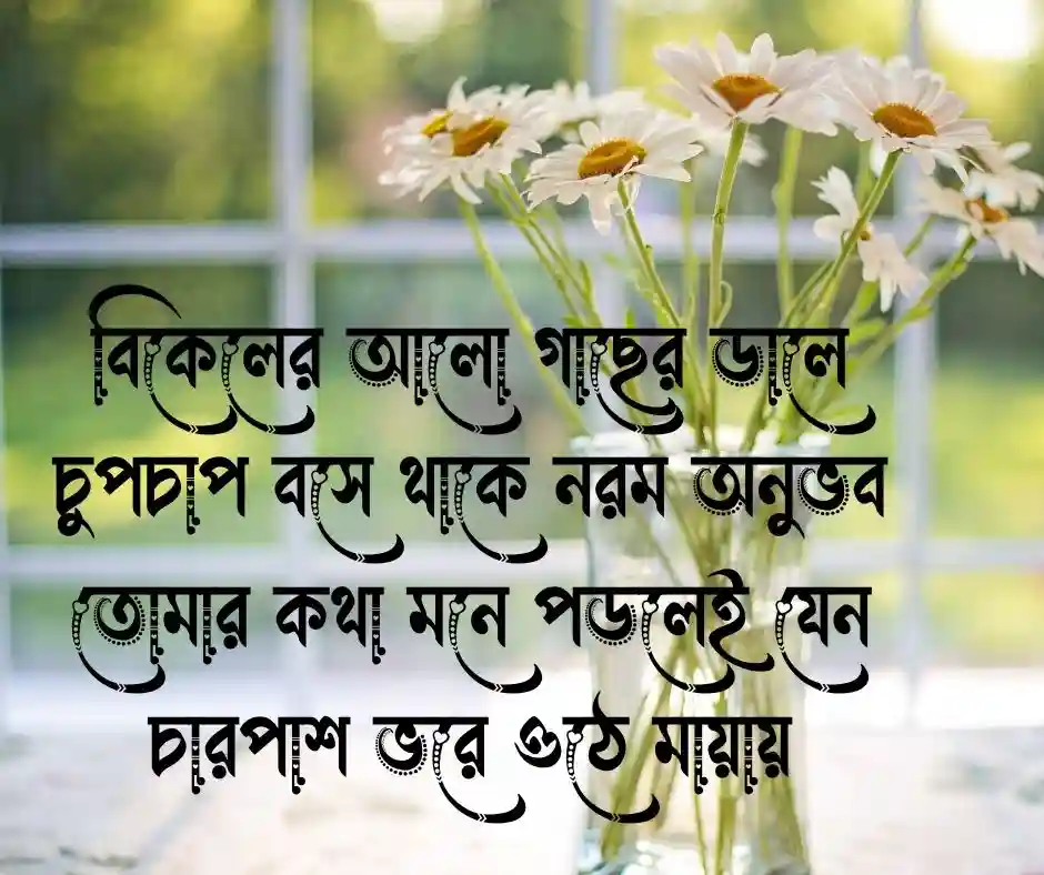 স্নিগ্ধতা নিয়ে কবিতা
