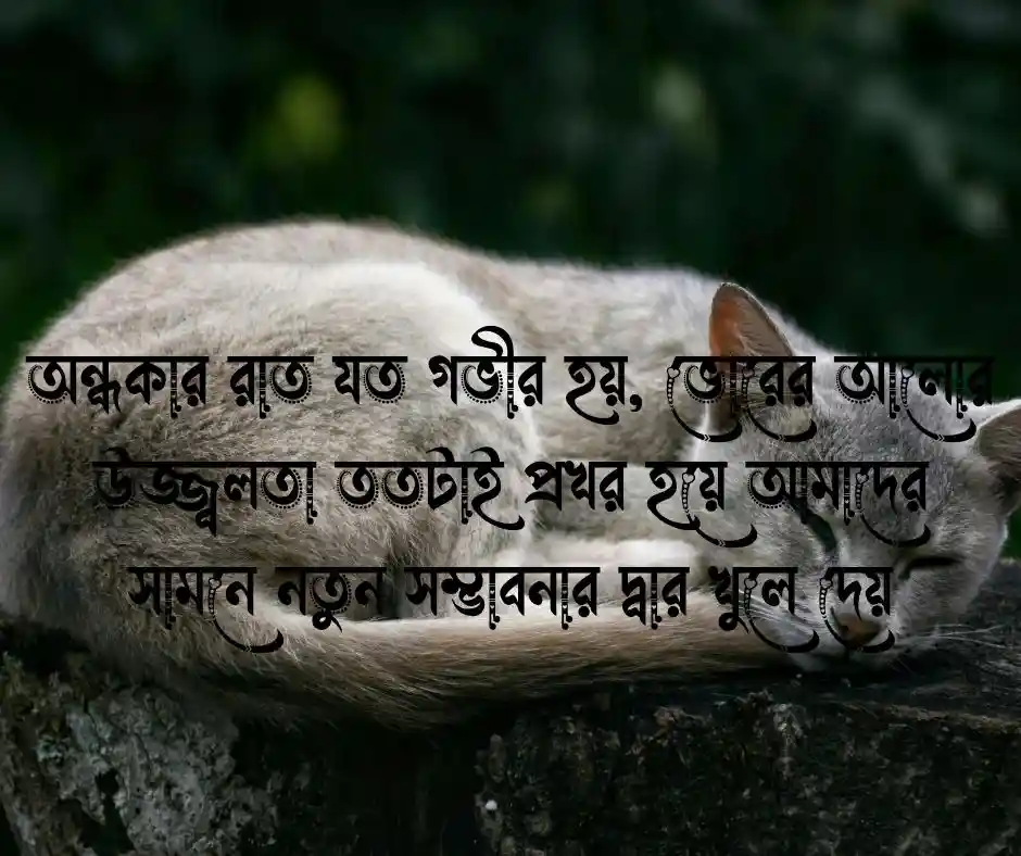 স্বপ্ন নিয়ে উক্তি