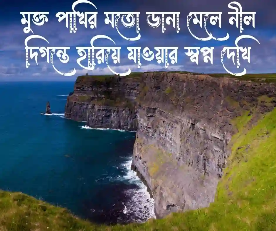 স্বাধীনতা নিয়ে ক্যাপশন
