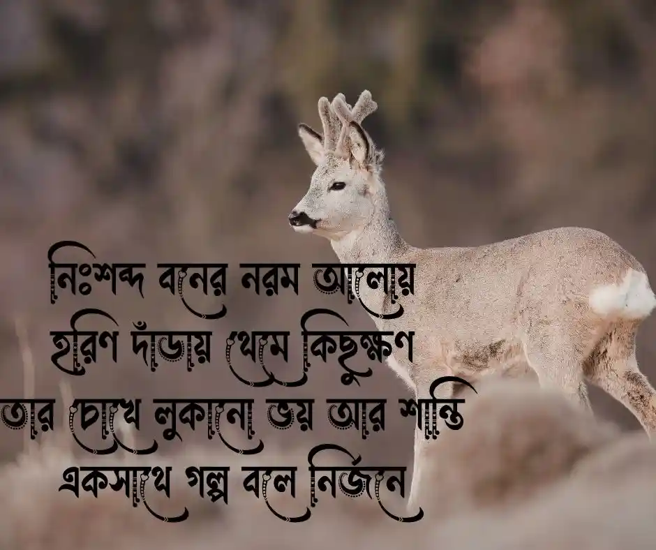 হরিণ নিয়ে কবিতা