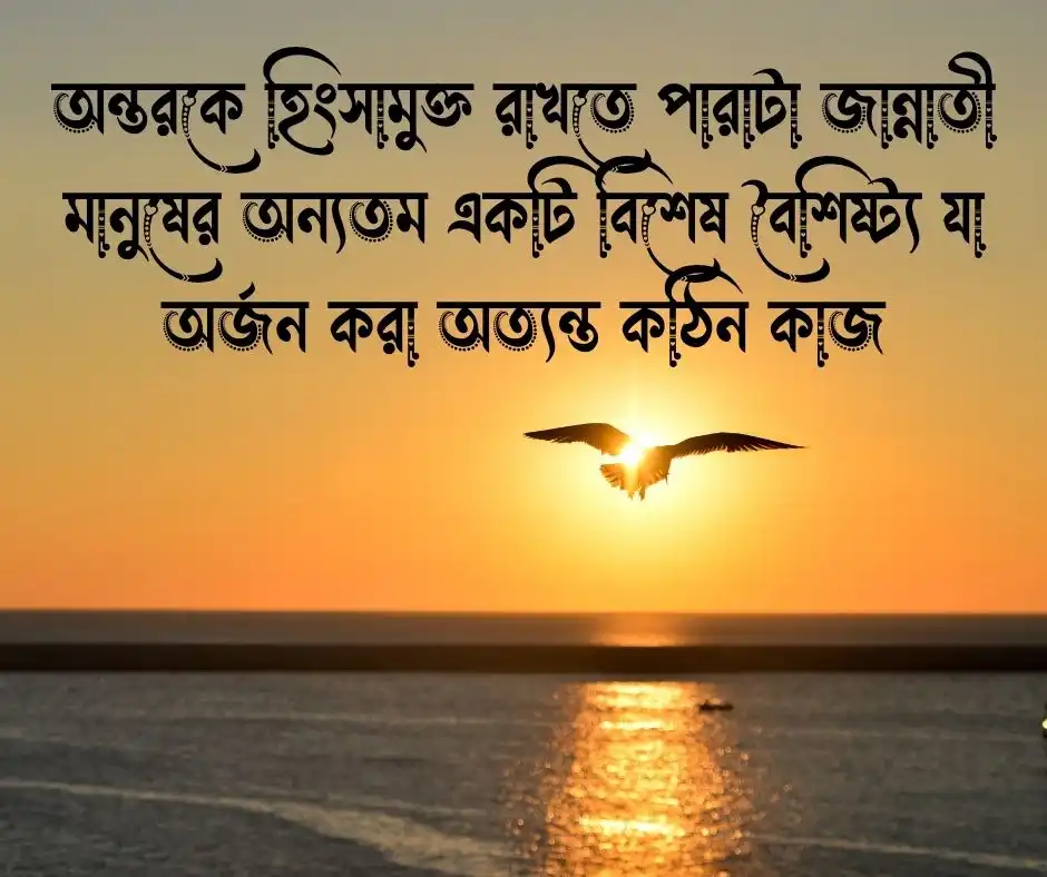হিংসা নিয়ে ইসলামিক উক্তি
