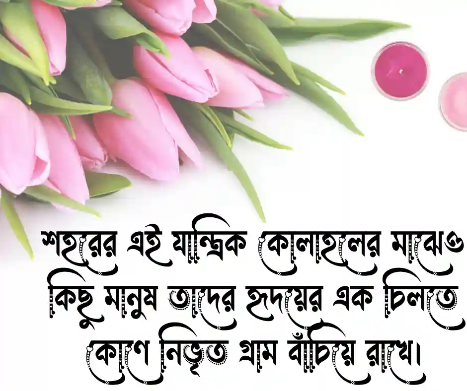 FB Caption Bangla Caption for Facebook Bangla